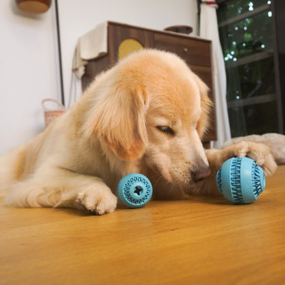 Puzzle Ball Dog Toy – Treat Dispensing Chew Toy for Puppie