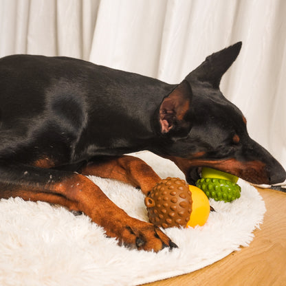 Acorn Puzzle Dog Toy – Treat Dispensing & Teething Chew Toy
