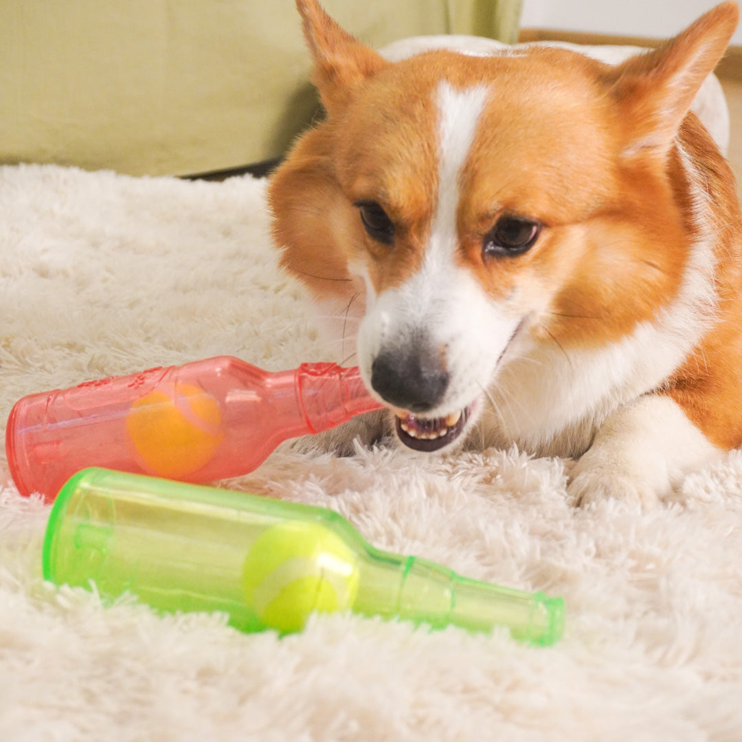 dailyhoo Interactive Floating Fetch Toy is a good choice for dogs
