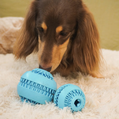 Puzzle Ball Dog Toy – Treat Dispensing Chew Toy for Puppie