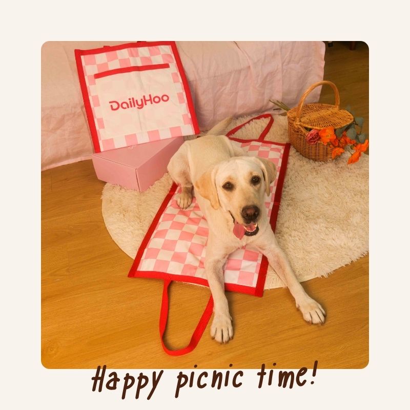 Barkery Bites Plush Toy Collection – Interactive Enrichment Plush Dog Toys