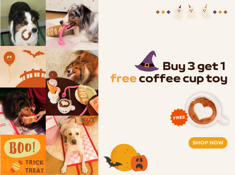 custom-slideshow-image-mobile-block_k4AN9j