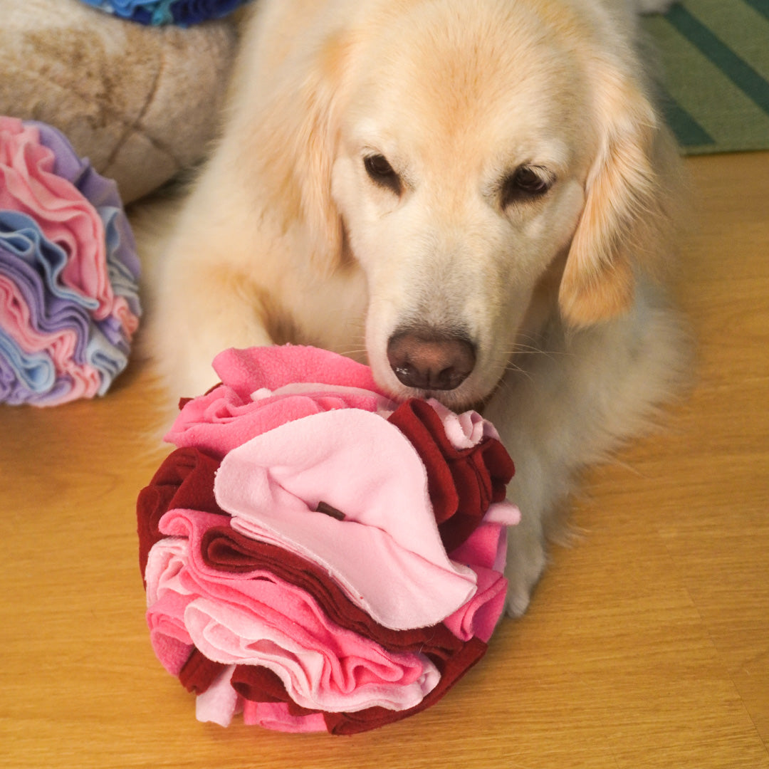 Snuffle Ball Dog Toy – Multi-Color Hide & Seek Puzzle Ball