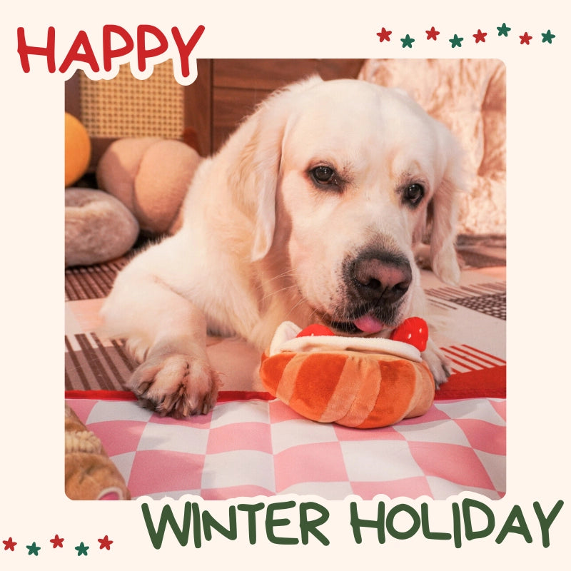 Barkery Bites Plush Toy Collection – Interactive Enrichment Plush Dog Toys