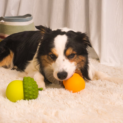 Acorn Puzzle Dog Toy – Treat Dispensing & Teething Chew Toy