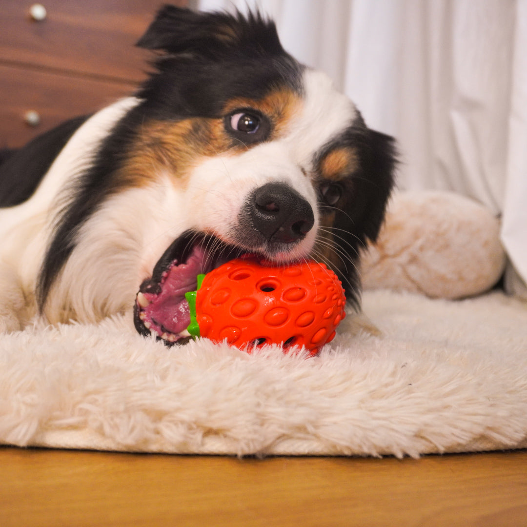 Strawberry Puzzle Dog Toy – Treat Dispensing & Teething Chew