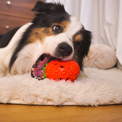 Strawberry Puzzle Dog Toy – Treat Dispensing & Teething Chew