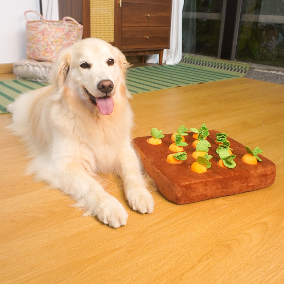 Carrot Snuffle Mat Dog Toy – Squeaky & Plush Puzzle 2-in-1