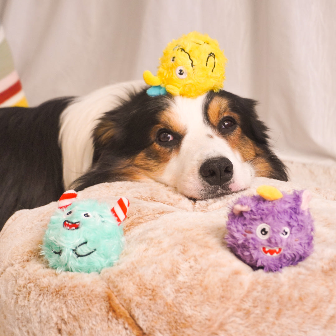 Squeaky Plush Ball Dog Toy – Soft Chew Toy for Indoor Play