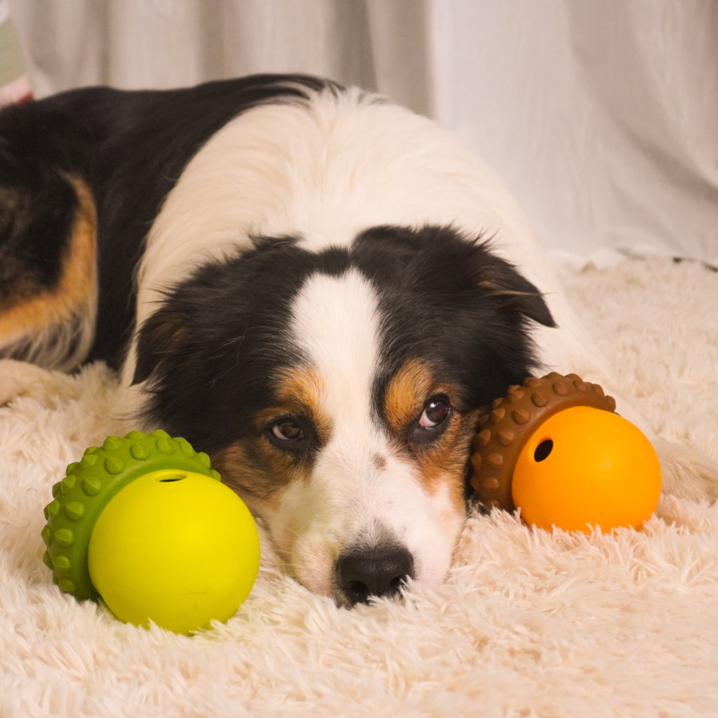 Acorn Puzzle Dog Toy – Treat Dispensing & Teething Chew Toy