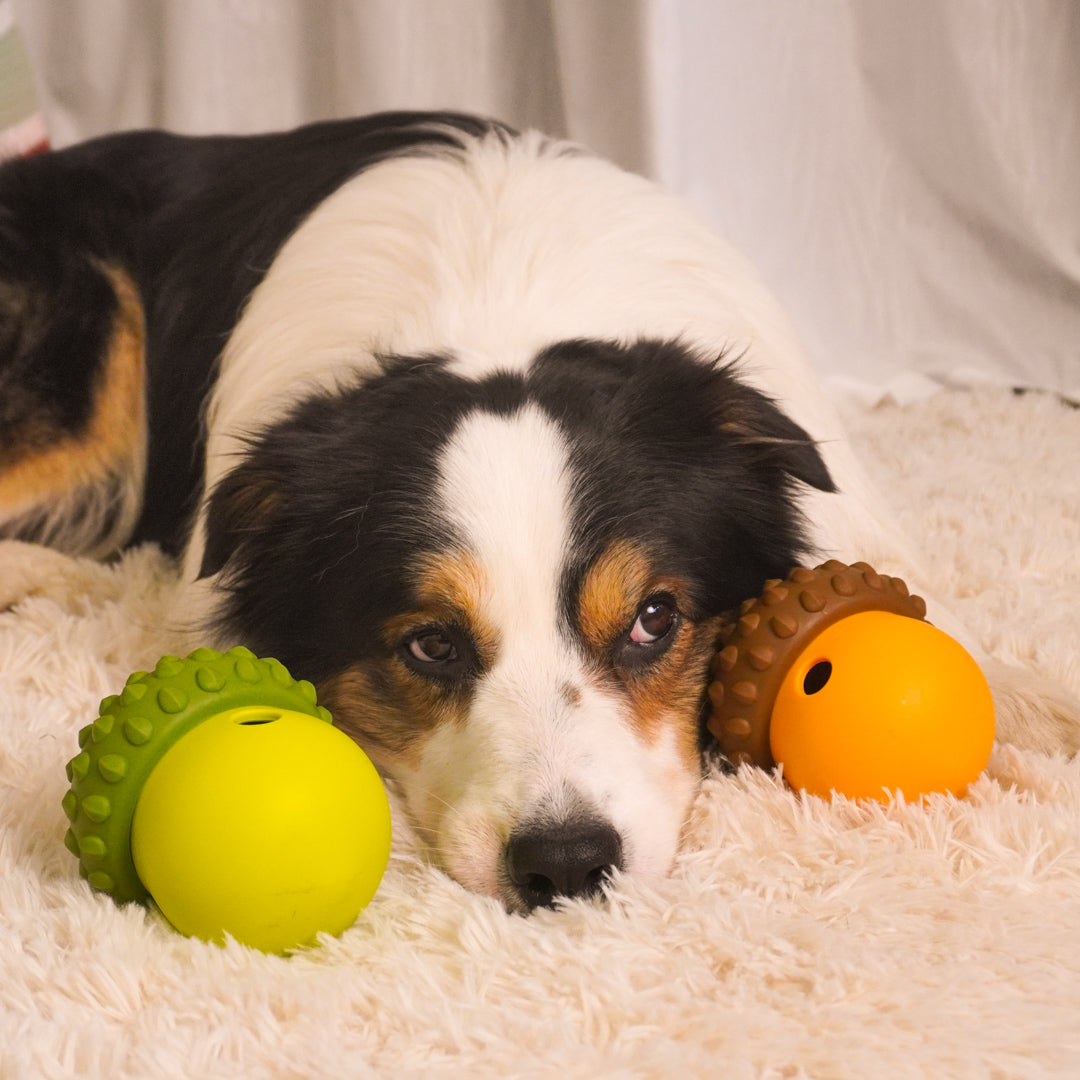 Acorn Puzzle Dog Toy – Treat Dispensing & Teething Chew Toy