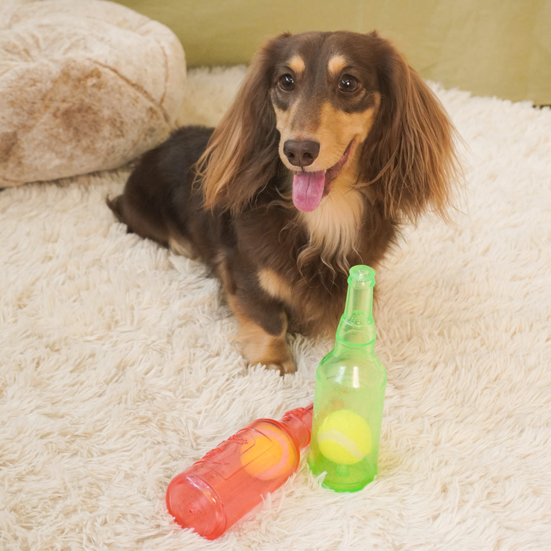 dailyhoo Floating Fetch Toy with Squeaker, Tennis Ball Inside