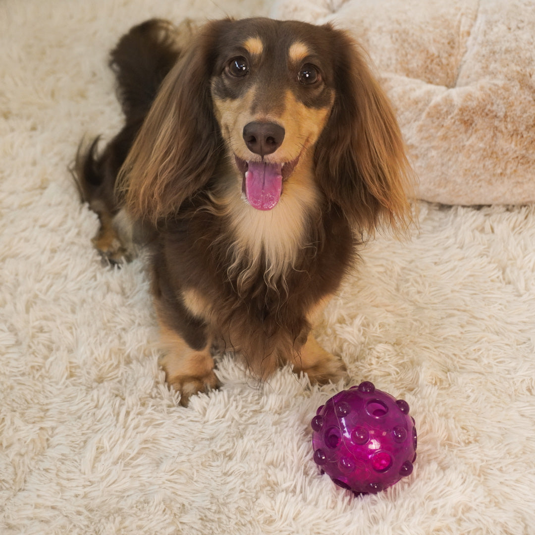 dailyhoo purple Floatable Smart Glow Ball for Dog