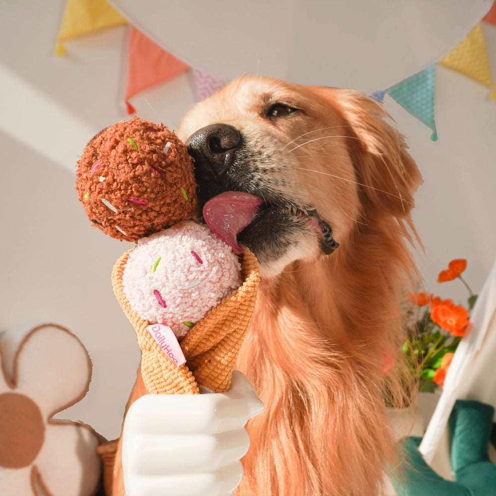 Purposeful Play Helps Dogs Use Energy More Effectively