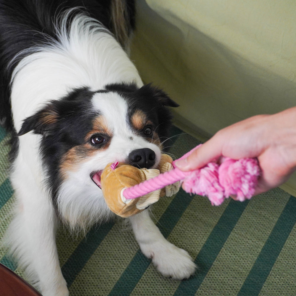 A Predictable Calm-Down Habit Can Support Better Recovery