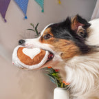 Picnic Pals Plush Toy Collection – Interactive Enrichment Plush Dog Toys