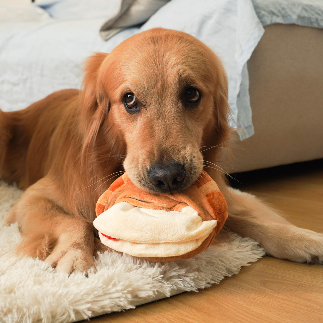 A calm Golden Retriever dog lying on a light rug, gently holding the plush strawberry croissant dog toy in its mouth, demonstrating a comforting and relaxed interaction with the soft fabric.