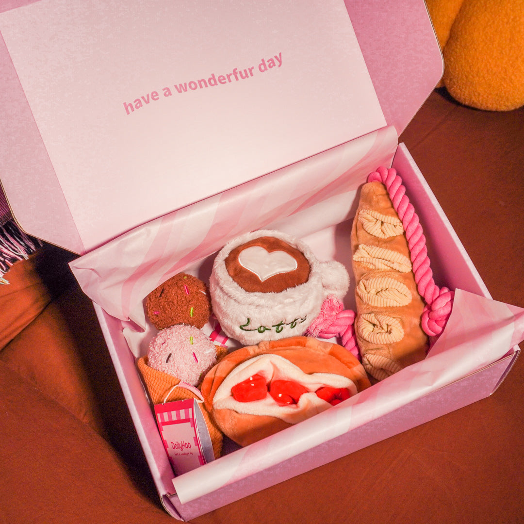Exquisite Christmas Gift Box set containing the Dailyhoo 4-product plush toy bundle: the baguette rope toy, latte cup toy, strawberry croissant toy, and ice cream cone puzzle toy. The inner pink box lid reads "have a wonderful day".