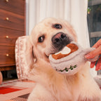 Latte Mug Plush Dog Toy – Chewy & Squeaky