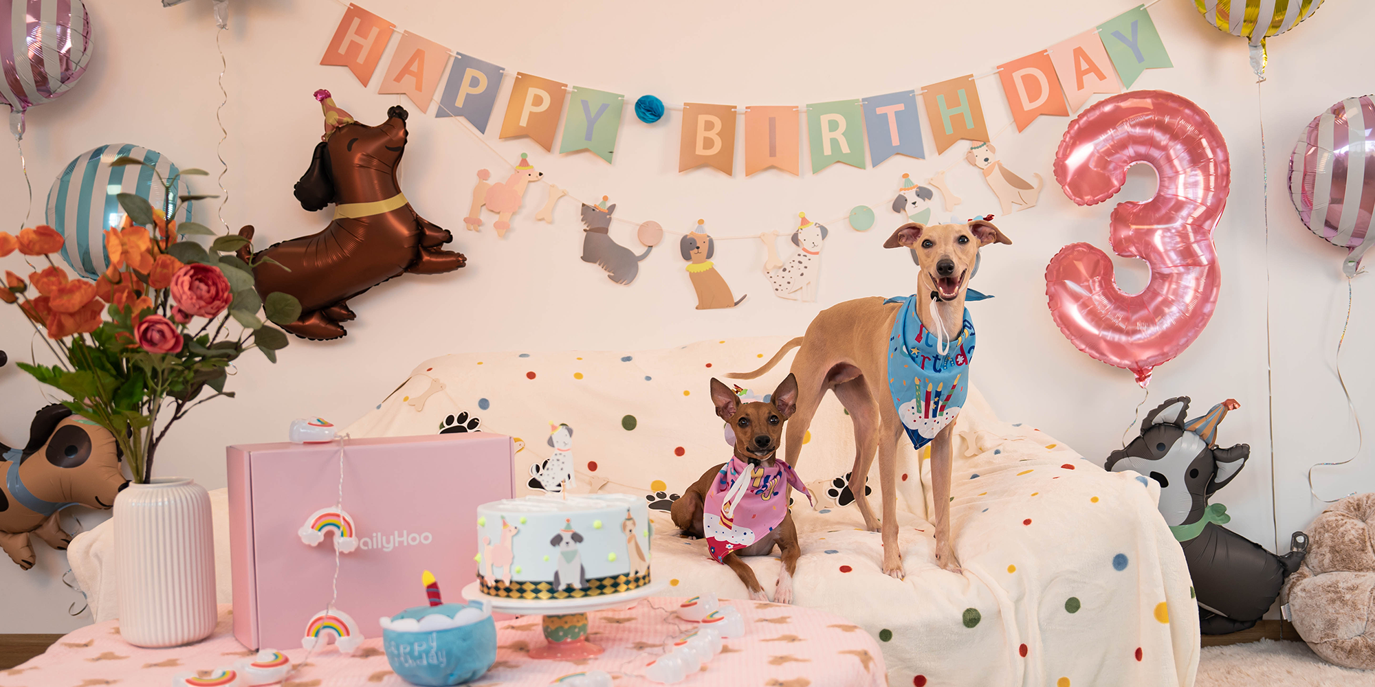Dailyhoo dog celebrate toy moment