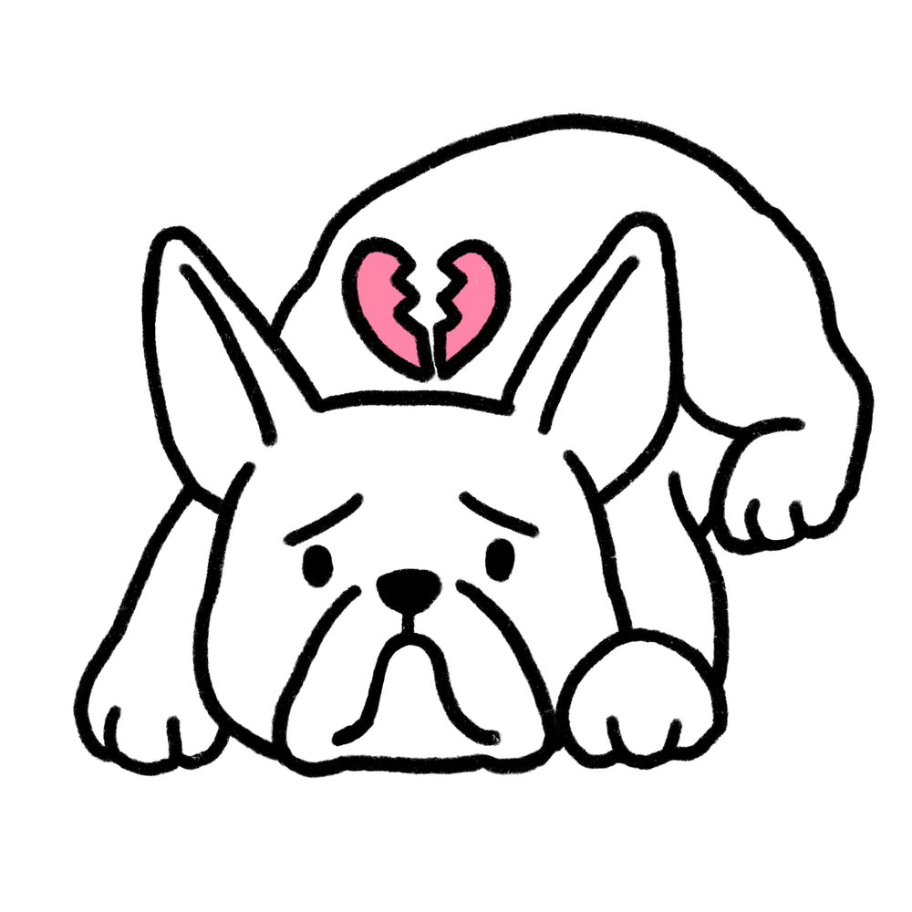 Why “Doing Nothing” Can Feel Hard for Some Dogs