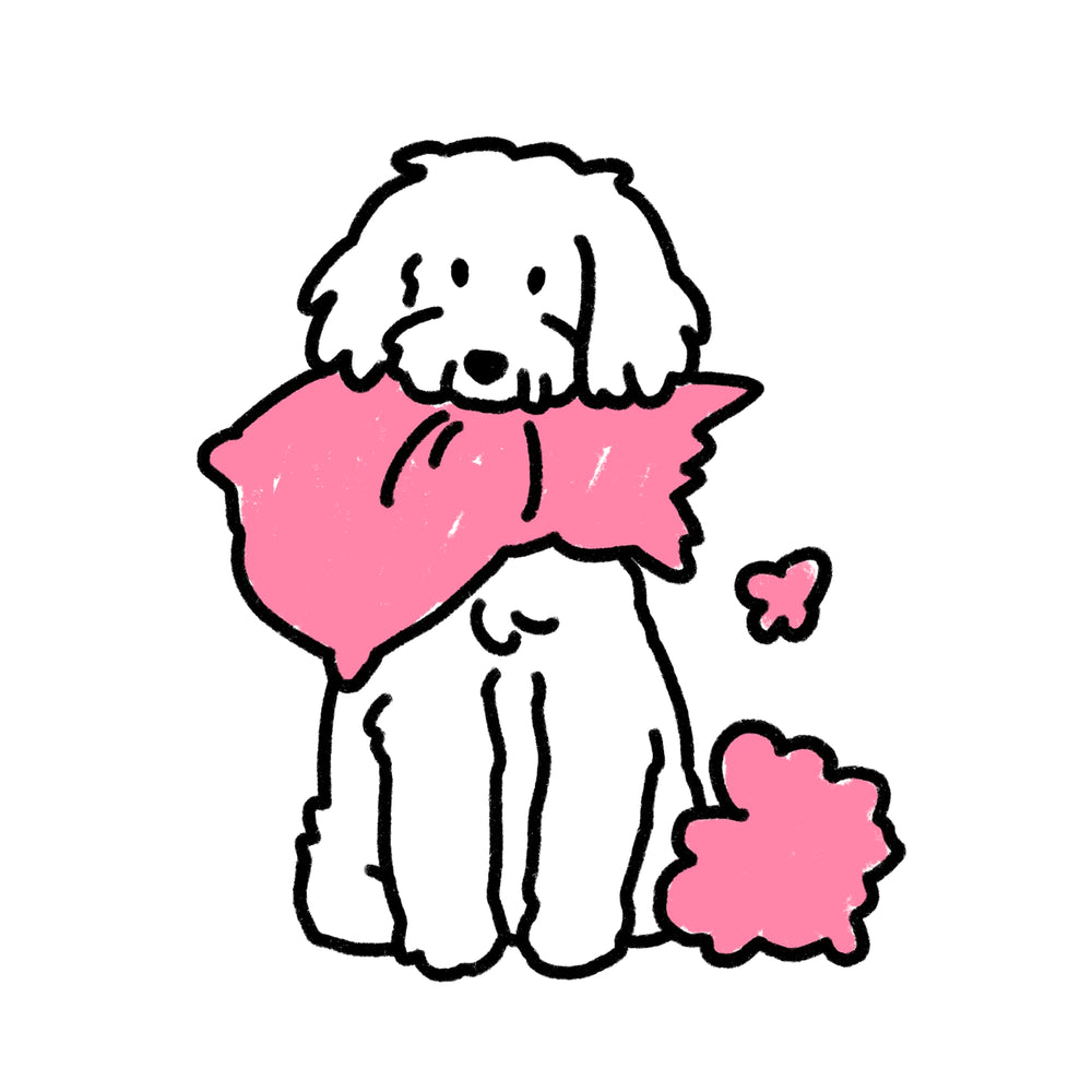 Why Some Play Sessions Leave Dogs More Overstimulated Than Fulfilled