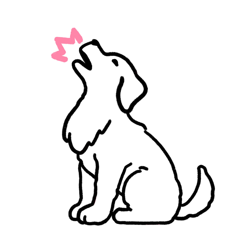 Why Some Dogs Struggle to Switch from Play to Rest