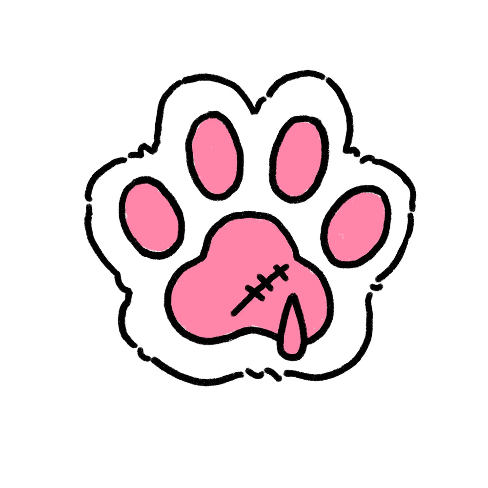 Why Active Dogs Can Benefit from a Quick Post-Walk Check