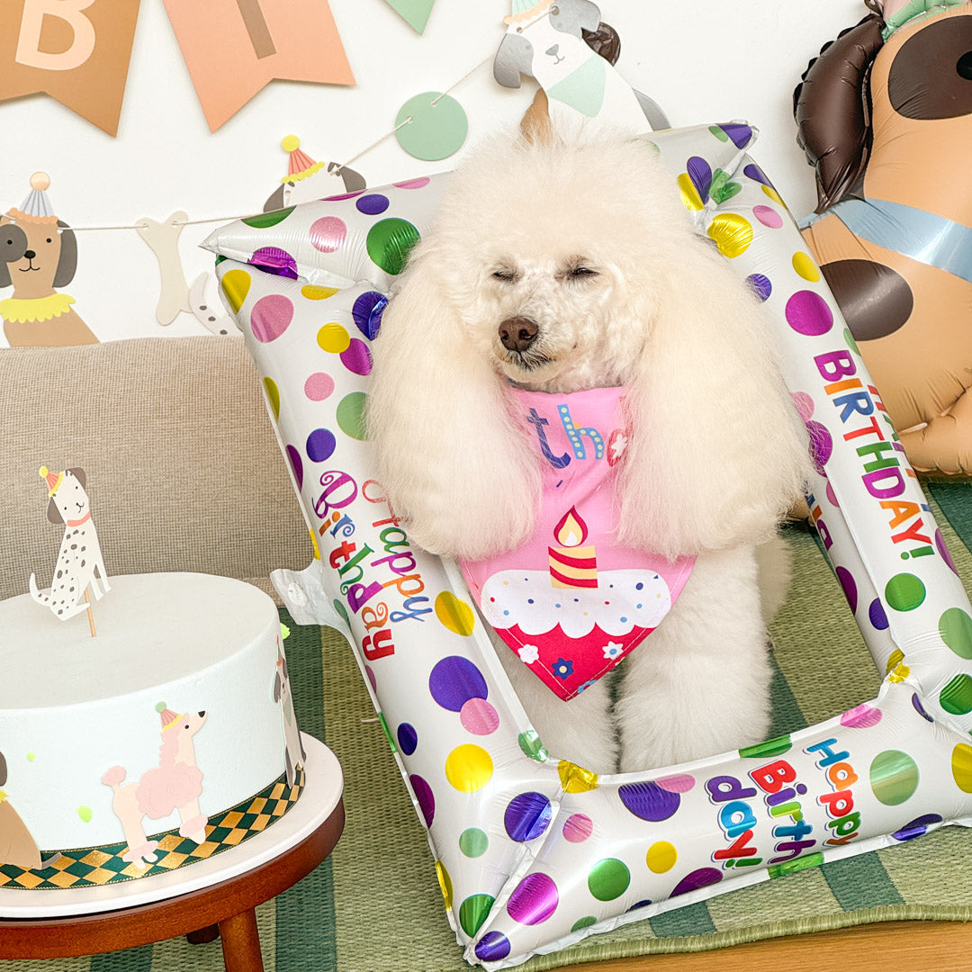 happy birthday with dailyhoo birthday gift box