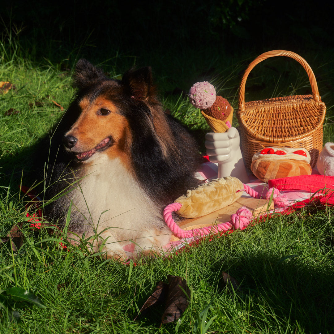 Afternoon Tea Dog Picnic Tote – 2-in-1 Storage Bag & Picnic Mat for Plush Toys