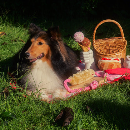 Afternoon Tea Dog Picnic Tote – 2-in-1 Storage Bag & Picnic Mat for Plush Toys