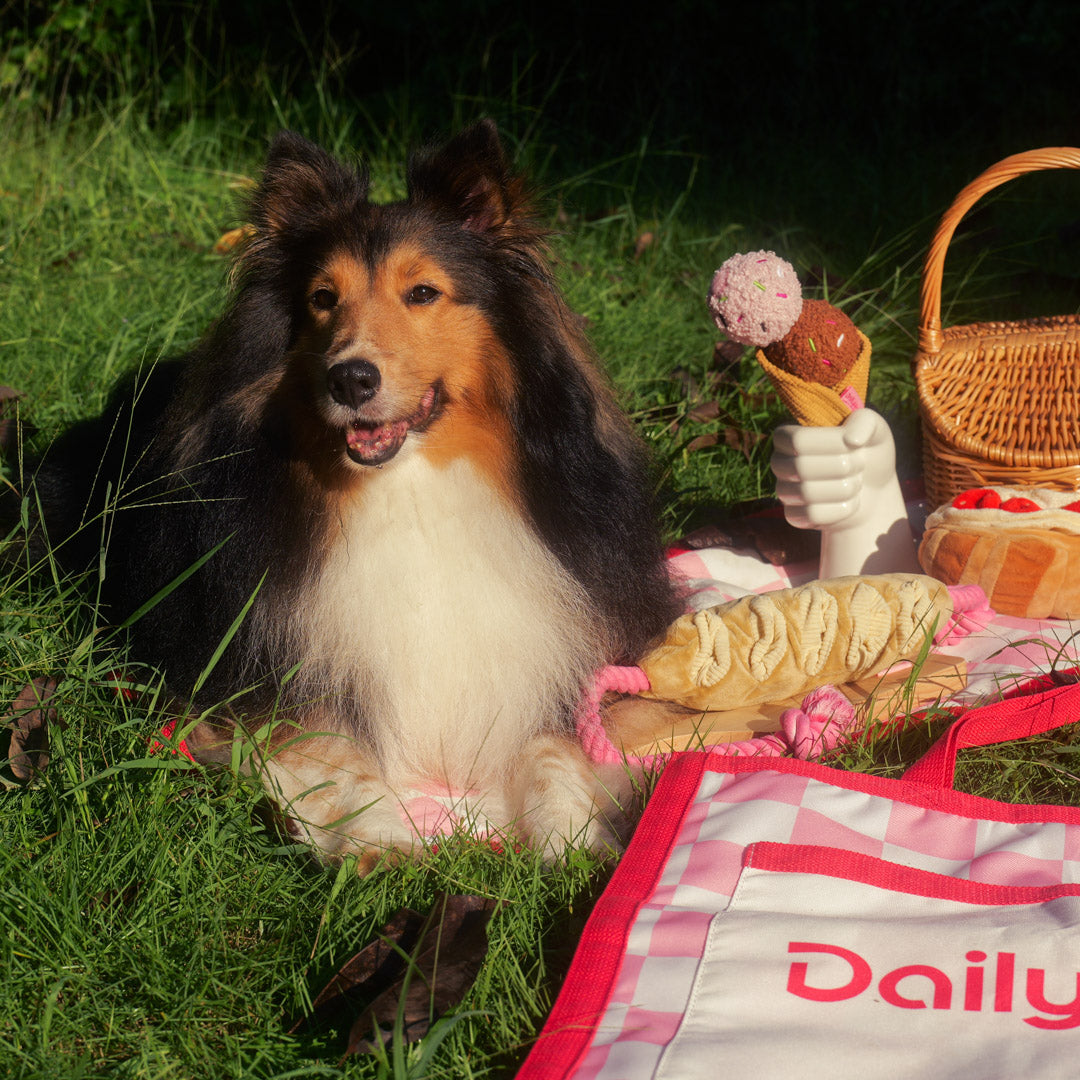 Afternoon Tea Dog Picnic Tote – 2-in-1 Storage Bag & Picnic Mat for Plush Toys