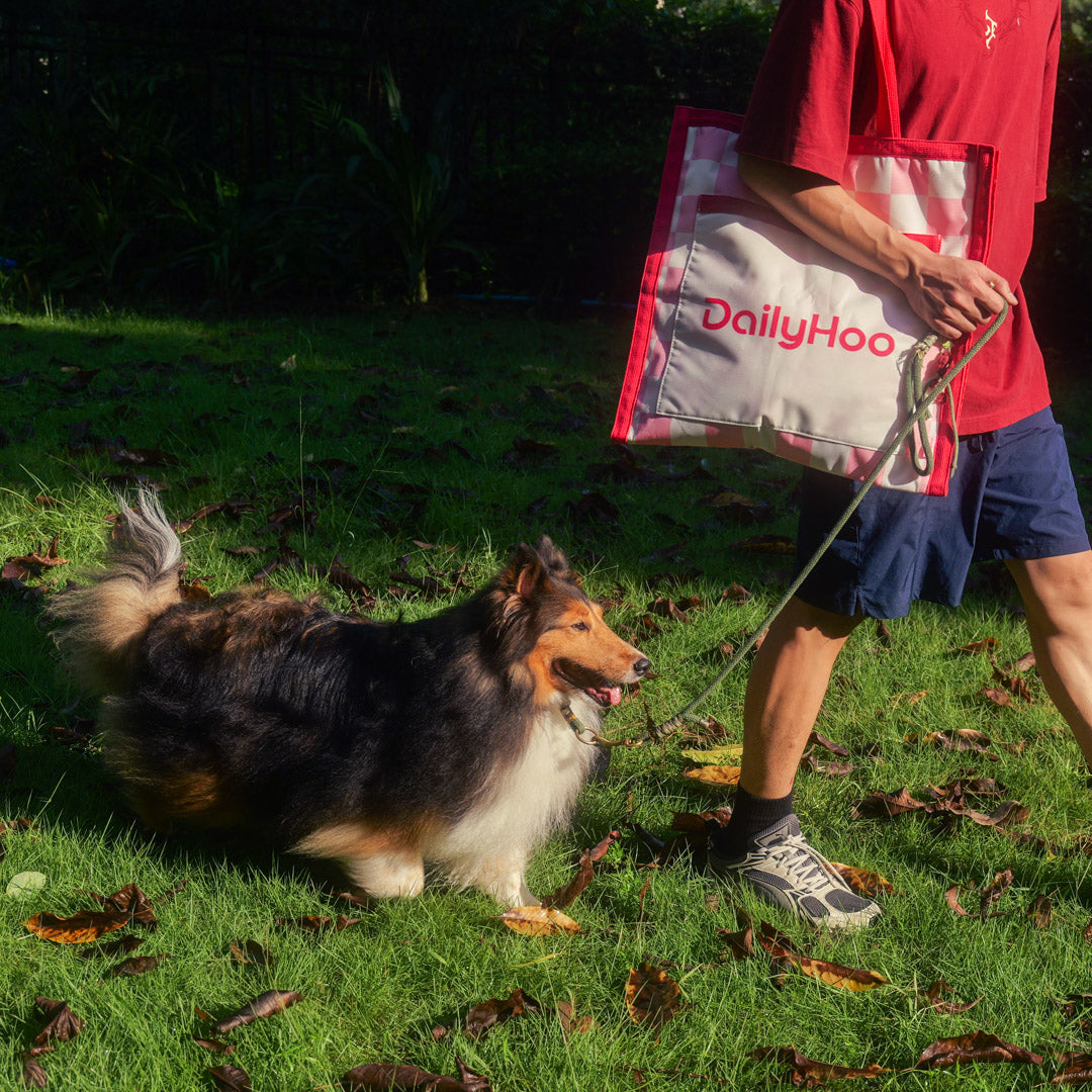 Take Your Dog to Picnic Tote – 2-in-1 Storage Bag & Picnic Mat for Plush Toys