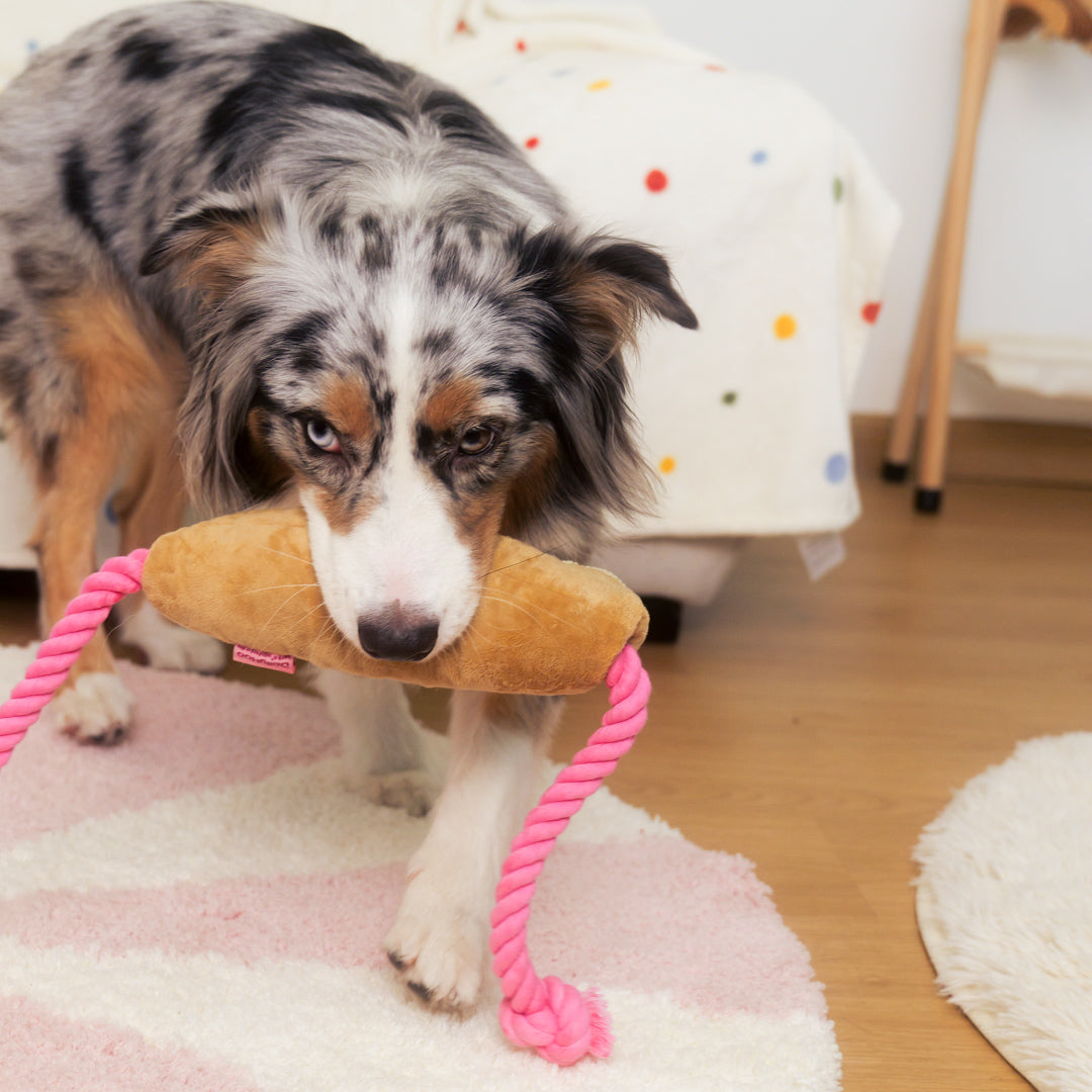 Tuggy Baguette Plush Dog Toy – Chew, Crinkle & Rope Interactive Toy