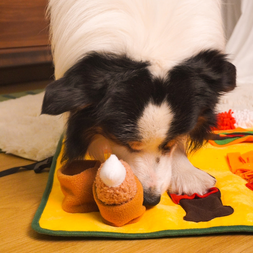 a dog is enjoying his playtime with dailyhoo Interactive Snuffle Mat