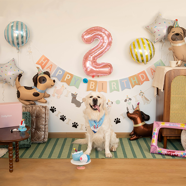Doggo Birthday Celebration Box