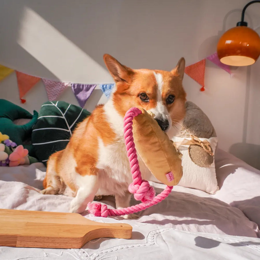 Midday boredom breaks