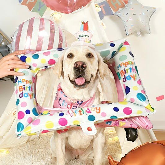 Doggo’s Birthday Paw-ty Box