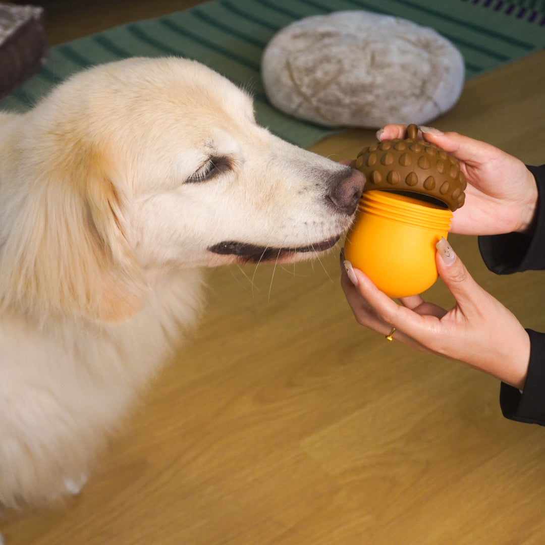 Acorn Puzzle Dog Toy – Treat Dispensing & Teething Chew Toy