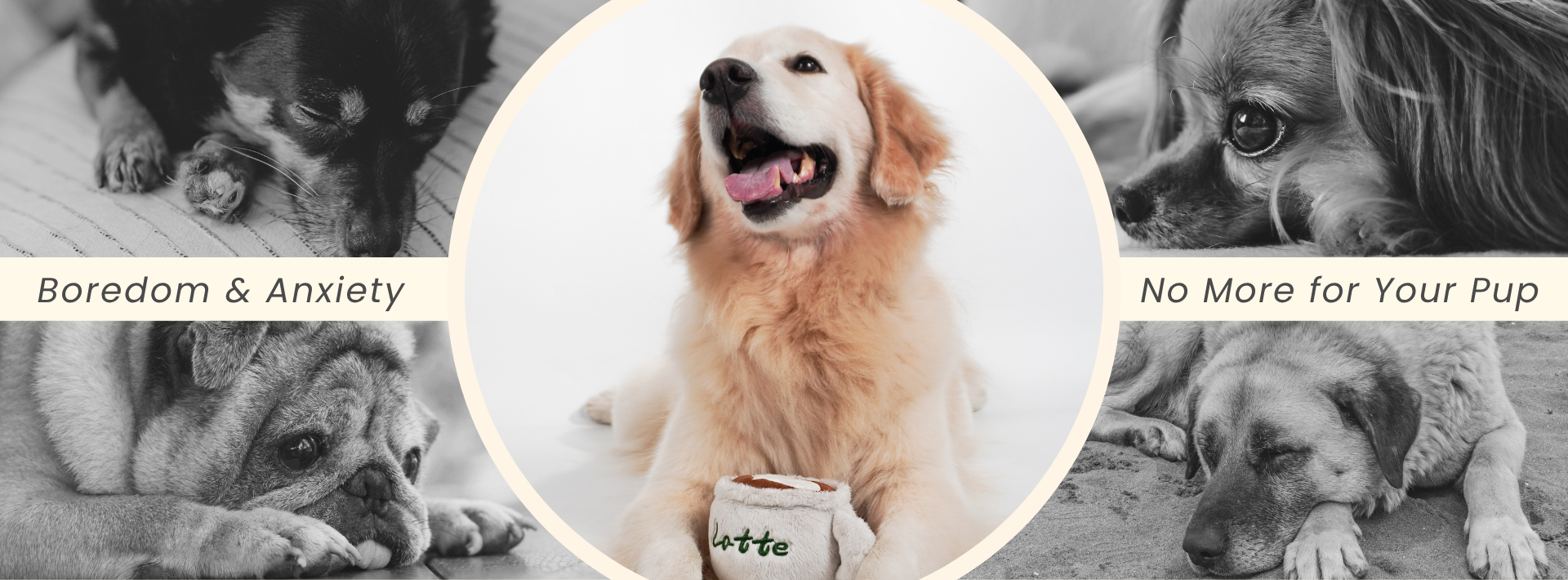 custom-slideshow-image-desktop-block_LRQytk