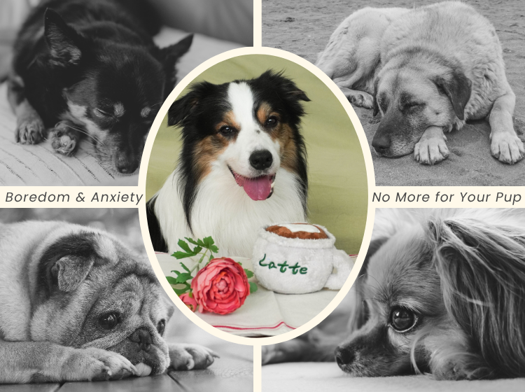 custom-slideshow-image-mobile-block_LRQytk