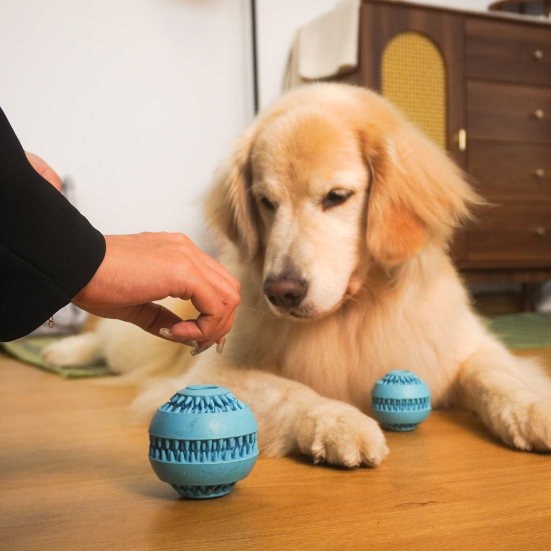 Puzzle Ball Dog Toy – Treat Dispensing Chew Toy for Puppie