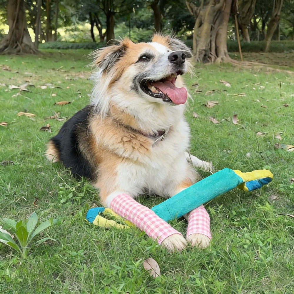 Simple Post-Walk Habits Help Catch Small Problems Early