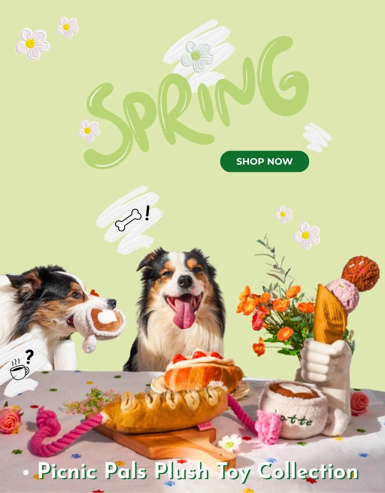 custom-slideshow-image-mobile-block_xxaHcM