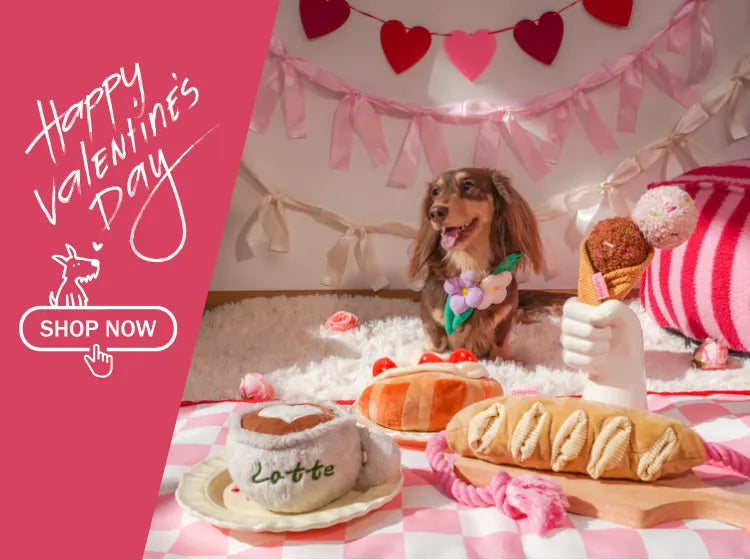 custom-slideshow-image-mobile-block_DpXLMb