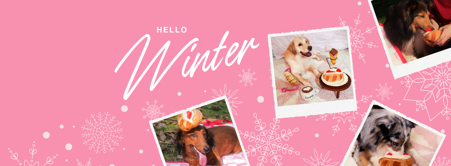 custom-slideshow-image-desktop-block_n4Uycc