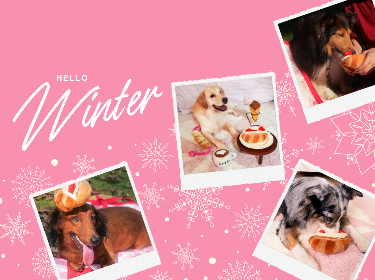 custom-slideshow-image-mobile-block_n4Uycc